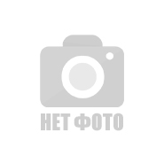 1-Прайс лист на 2018 год-Кустарники Декоративные